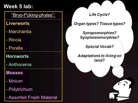 Organ types? Tissue types? Adaptations to living on