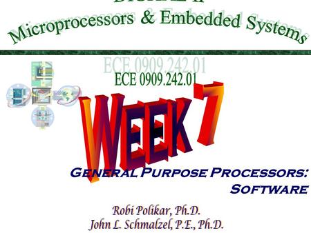 General Purpose Processors: Software. This Week In DIG II  Introduction  Basic Architecture  Memory  Programmer’s view (that would be you !)  Development.