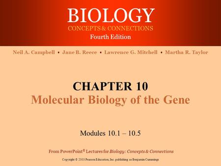 CHAPTER 10 Molecular Biology of the Gene