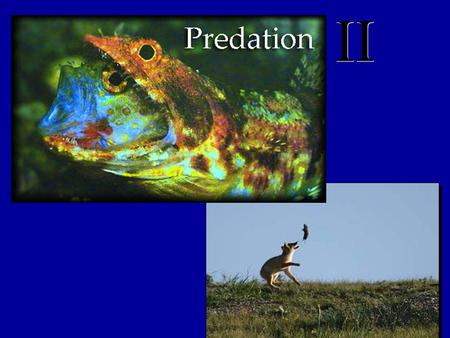 . Again, why do we care? Agent of natural selection Helps determine community structure Can influence species density or distribution.