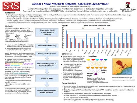 Training a Neural Network to Recognize Phage Major Capsid Proteins Author: Michael Arnoult, San Diego State University Mentors: Victor Seguritan, Anca.