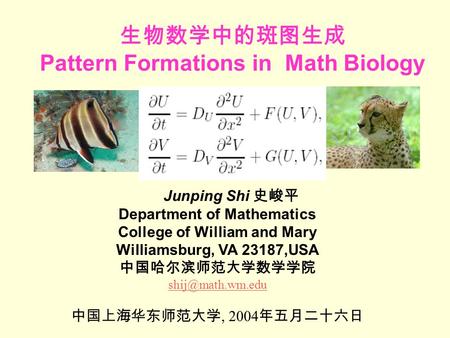 生物数学中的斑图生成 Pattern Formations in Math Biology Junping Shi 史峻平 Department of Mathematics College of William and Mary Williamsburg, VA 23187,USA 中国哈尔滨师范大学数学学院.