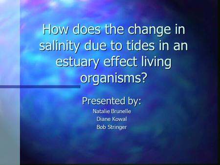 How does the change in salinity due to tides in an estuary effect living organisms? Presented by: Natalie Brunelle Diane Kowal Bob Stringer.