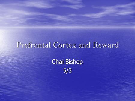 Prefrontal Cortex and Reward Chai Bishop 5/3. I.Pathological Gambling is Linked to Reduced Activation of the Mesolimbic Reward System Jan Reuter, thomas.