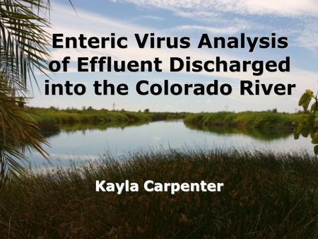 Enteric Virus Analysis of Effluent Discharged into the Colorado River Kayla Carpenter.