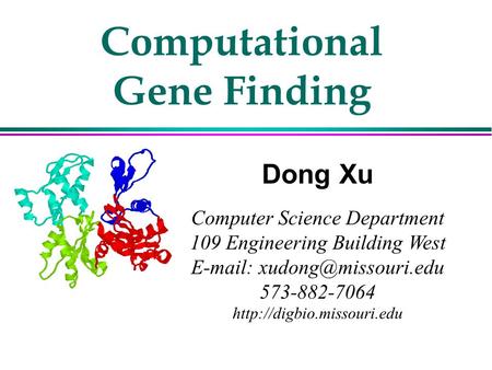 Computational Gene Finding Dong Xu Computer Science Department 109 Engineering Building West   573-882-7064