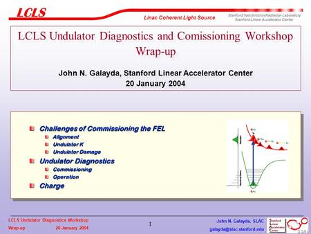 Wrap-up 20 January 2004 Linac Coherent Light Source Stanford Synchrotron Radiation Laboratory Stanford Linear Accelerator Center.