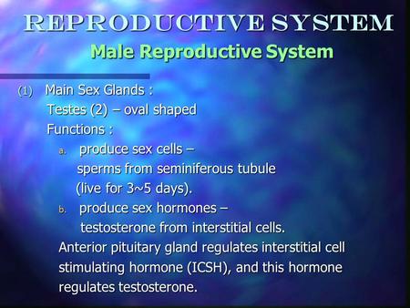 Reproductive System Male Reproductive System (1) Main Sex Glands : Testes (2) – oval shaped Testes (2) – oval shaped Functions : Functions : a. produce.