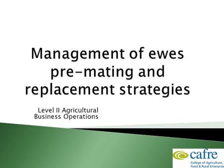 Level II Agricultural Business Operations.  Overview of the production cycle of a ewe  Appropriate management of the flock pre mating to achieve optimum.