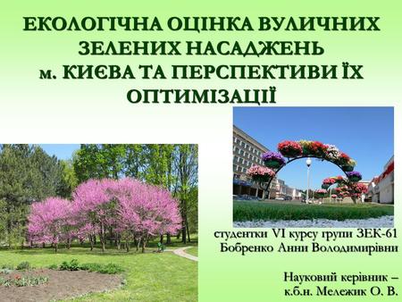 Студентки VI курсу групи ЗЕК-61 Бобренко Анни Володимирівни Науковий керівник – к.б.н. Мележик О. В. ЕКОЛОГІЧНА ОЦІНКА ВУЛИЧНИХ ЗЕЛЕНИХ НАСАДЖЕНЬ м. КИЄВА.