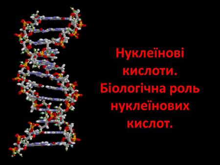 Нуклеїнові кислоти. Біологічна роль нуклеїнових кислот.