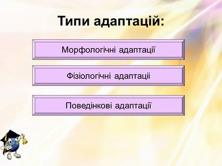 Типи адаптацій: Морфологічні адаптації Фізіологічні адаптаціі