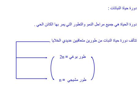 دورة حياة النباتات : دورة الحياة هي جميع مراحل النمو والتطور التي يمر بها الكائن الحي . تتألف دورة حياة النبات من طورين متعاقبين عديدي الخلايا . طور بوغي.