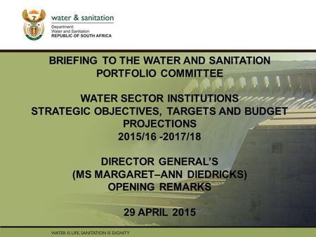 PRESENTATION TITLE Presented by: Name Surname Directorate Date BRIEFING TO THE WATER AND SANITATION PORTFOLIO COMMITTEE WATER SECTOR INSTITUTIONS STRATEGIC.