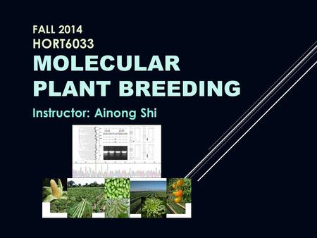 Fall 2014 HORT6033 Molecular plant breeding