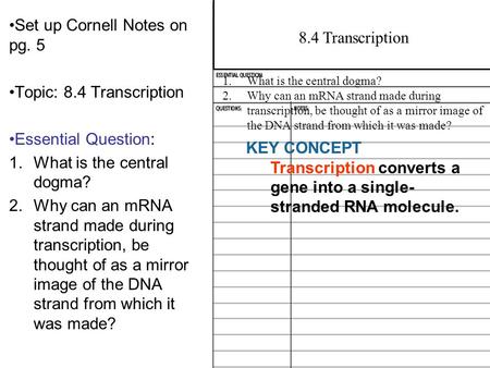 Set up Cornell Notes on pg. 5