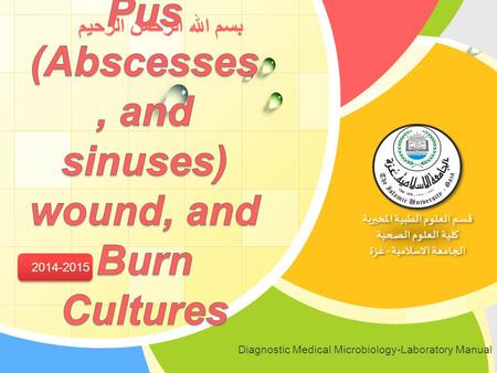 Pus (Abscesses, and sinuses) wound, and Burn Cultures