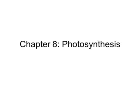 Chapter 8: Photosynthesis