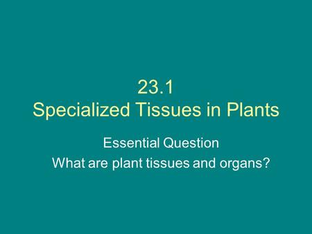 23.1 Specialized Tissues in Plants