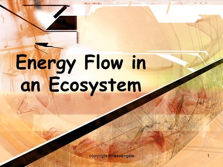 Energy Flow in an Ecosystem