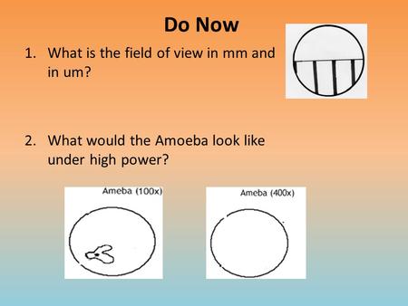 Do Now What is the field of view in mm and in um?