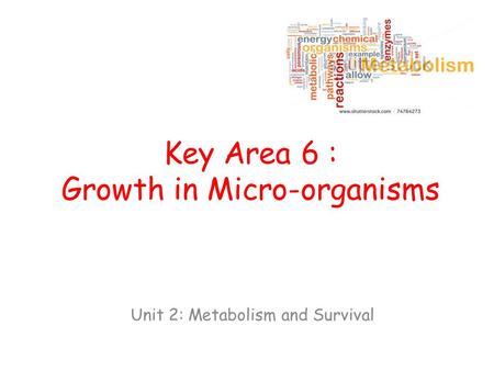 Key Area 6 : Growth in Micro-organisms