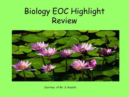 Biology EOC Highlight Review