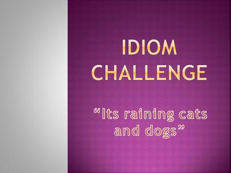 Which theory suits best?  It came from Northern European mythology, where the cats influenced the weather and dogs influenced the wind.