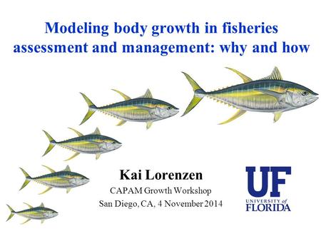 Modeling body growth in fisheries assessment and management: why and how Kai Lorenzen CAPAM Growth Workshop San Diego, CA, 4 November 2014.