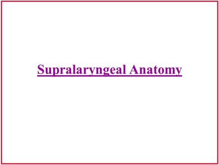 Supralaryngeal Anatomy