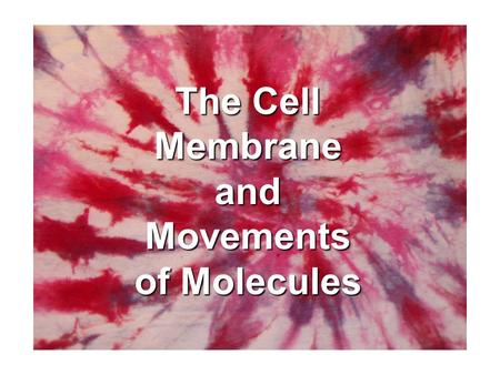 The Cell Membrane and Movements of Molecules The Plasma Membrane The Plasma Membrane (aka cell membrane)   Boundary- protect and support   Controls.