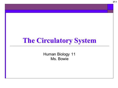 The Circulatory System