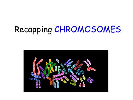 Recapping CHROMOSOMES. What is a Eukaryotic Chromosome? Chromosomes are lengths of _____ wound around protein (histone). Each chromosome contains many.