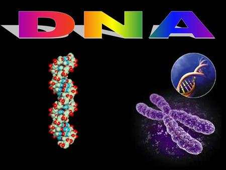 DNA.