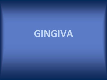 GINGIVA.