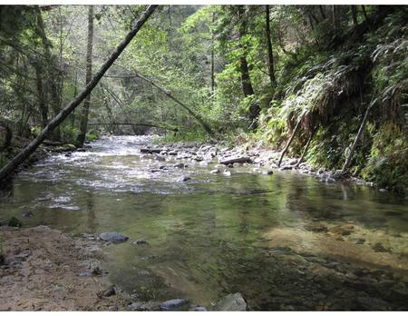 Streams, Habitats & Macroinvertebrates Main Topics What shapes stream shapes Stream habitats (pools, riﬄes & runs) What shapes macroinvertebrate shapes.