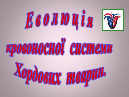 Е в о л ю ц і я кровоносної системи Хордових тварин.