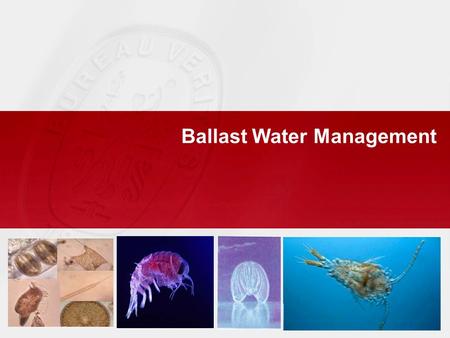 Ballast Water Management