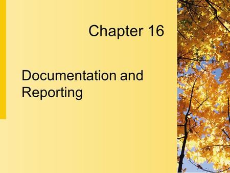 Documentation and Reporting