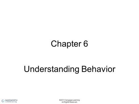 Understanding Behavior