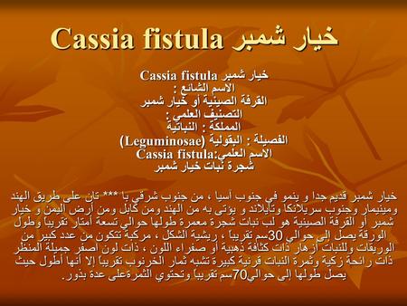 خيار شمبر Cassia fistula