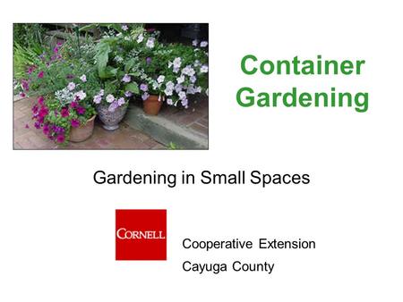 Container Gardening Gardening in Small Spaces Cooperative Extension Cayuga County.