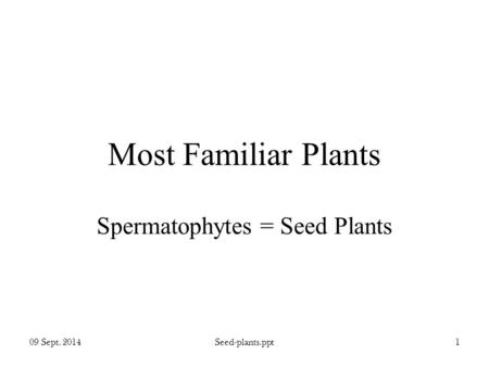 09 Sept. 2014Seed-plants.ppt1 Most Familiar Plants Spermatophytes = Seed Plants.