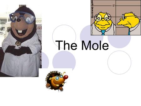 The Mole.