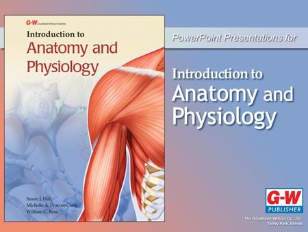 13 The Digestive System and Nutrition