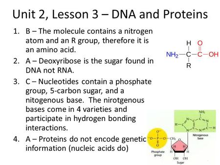 Unit 2, Lesson 3 – DNA and Proteins