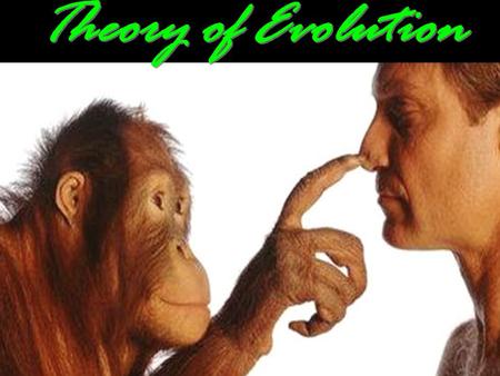 EVOLUTION Change in allele frequencies over time.