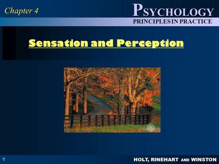 Sensation and Perception