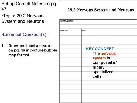 29.2 Nervous System and Neurons