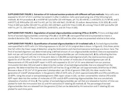 SUPPLEMENTARY FIGURE 1. Extraction of UV-induced excision products with different cell lysis methods. HeLa cells were exposed to 10 J/m 2 of UV-C and then.